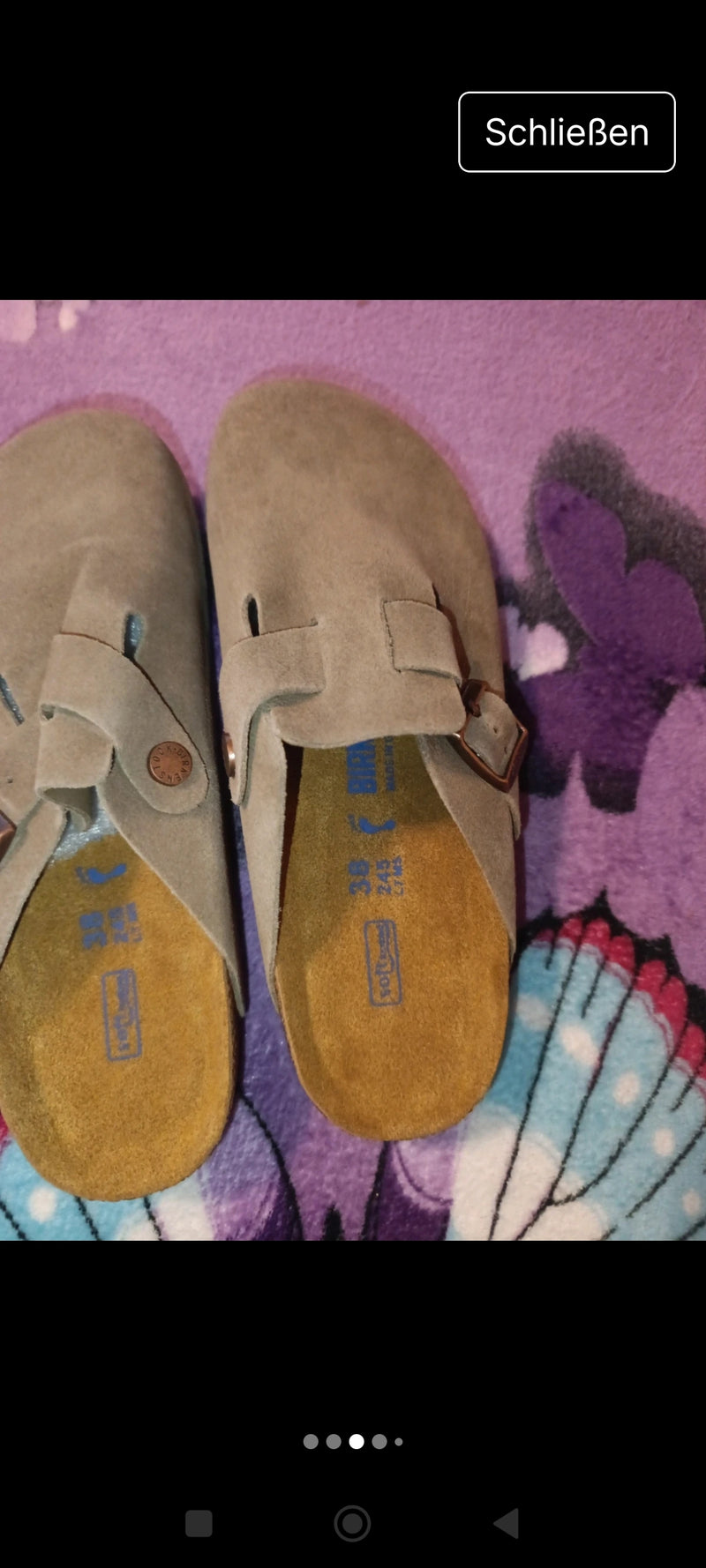 Die Birkenstock Clogs