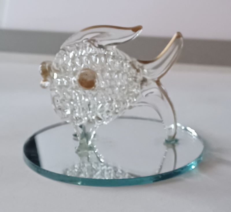 Glasfisch auf Spiegelboden