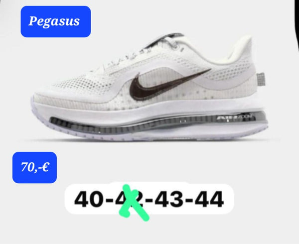 Nike Air Zoom Pegasus