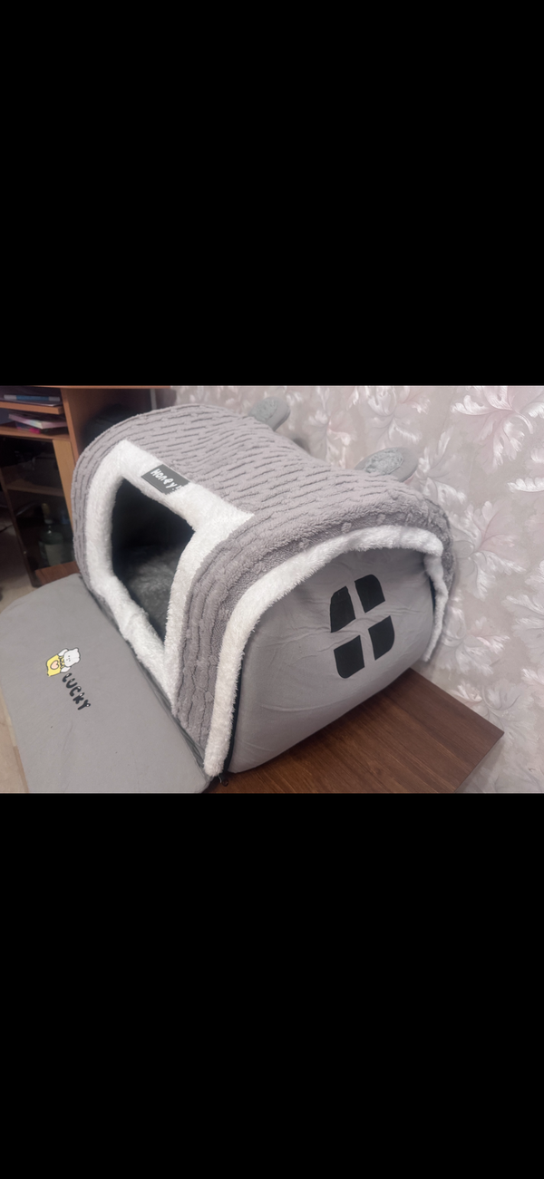 Katzen Haus