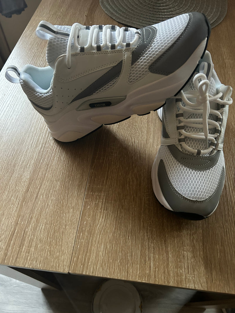 Dior B22 weiß  grau